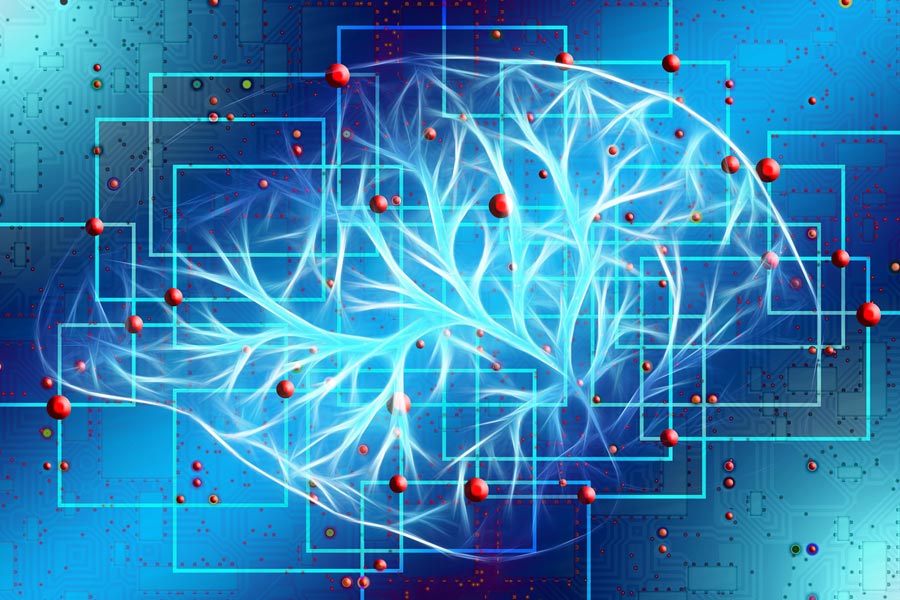 CHRS Endorses the “Toronto Declaration” on Equality and Non-Discrimination in Machine Learning Systems