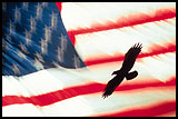 Eagle and Flag