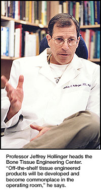 Prof. Jeffrey Hollinger