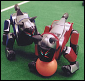 Sony Robodogs