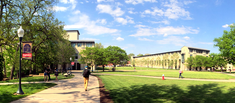 The cut on campus