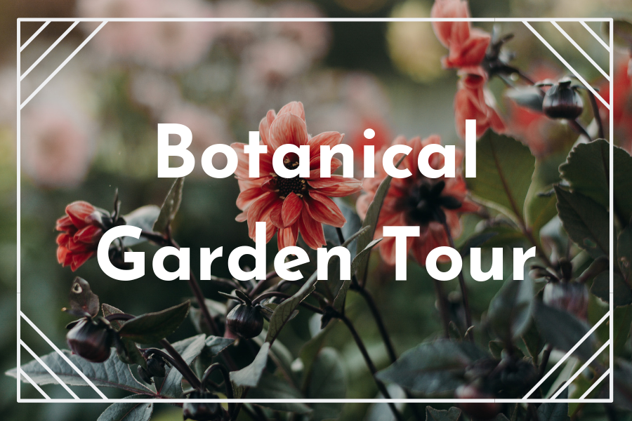 Botanical Garden Tour