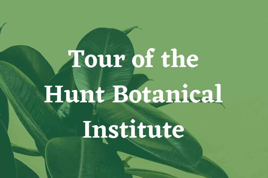 Tour the Hunt Botanical Institute.