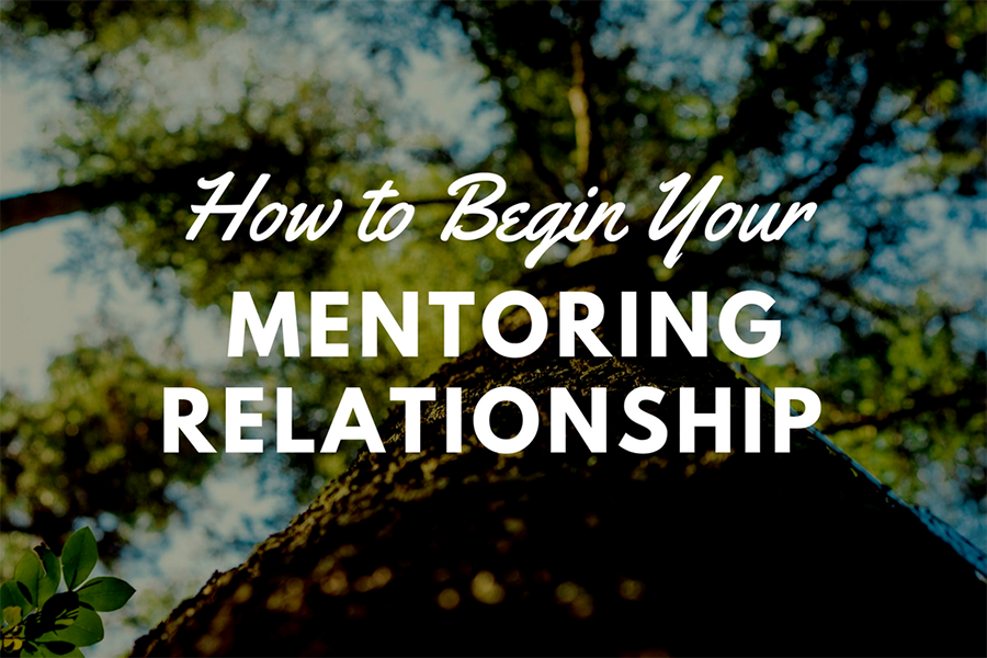 Beginning a Mentorship Relationship Graphic