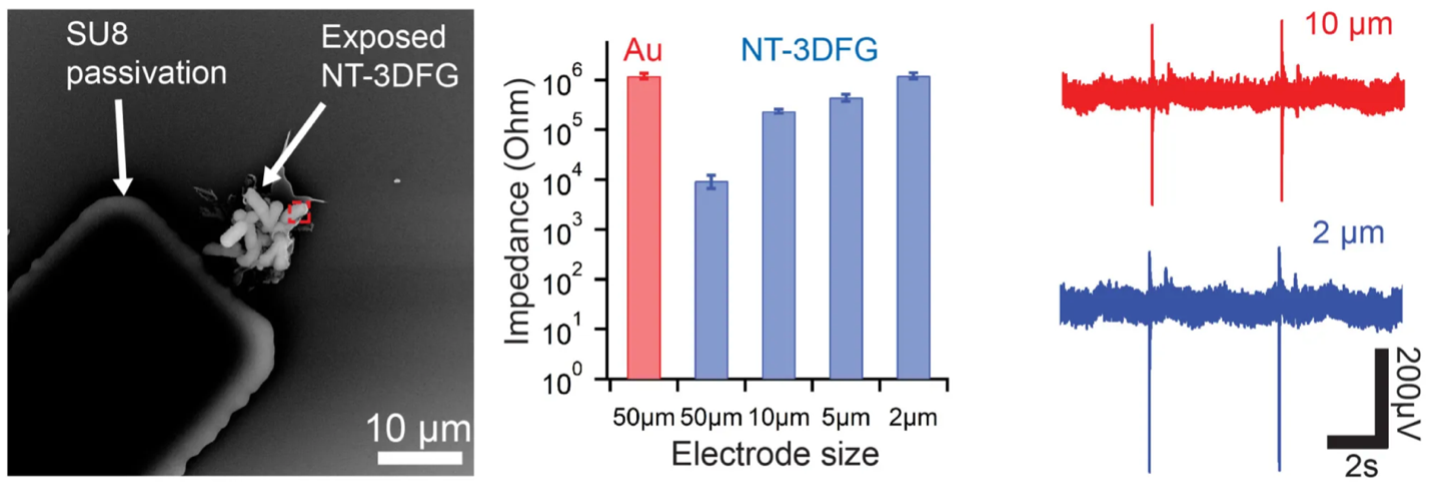 NT-3DFG Ultra-Microelectrodes enable Recording of Electrical Activity