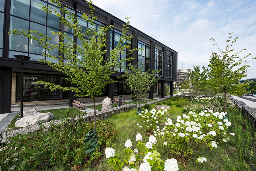 Photo of the Rain Gardens with view from within the garden