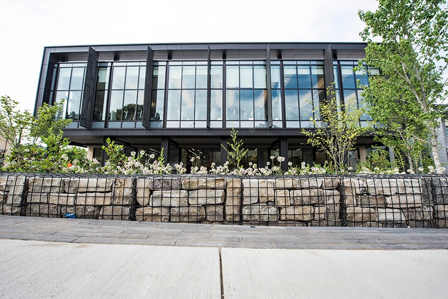 Photo of the Rain Gardens facing the front of the UC and the gym area