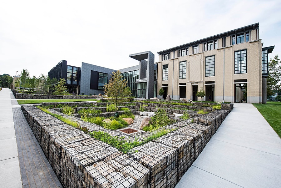 Rain Gardens