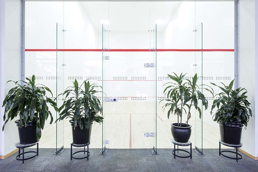 Photo of Squash & Raquetball Courts with view from outside the court looking in