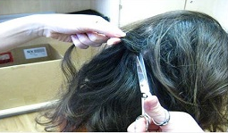 hair sample for cortisol