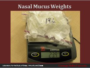 mucus-weights