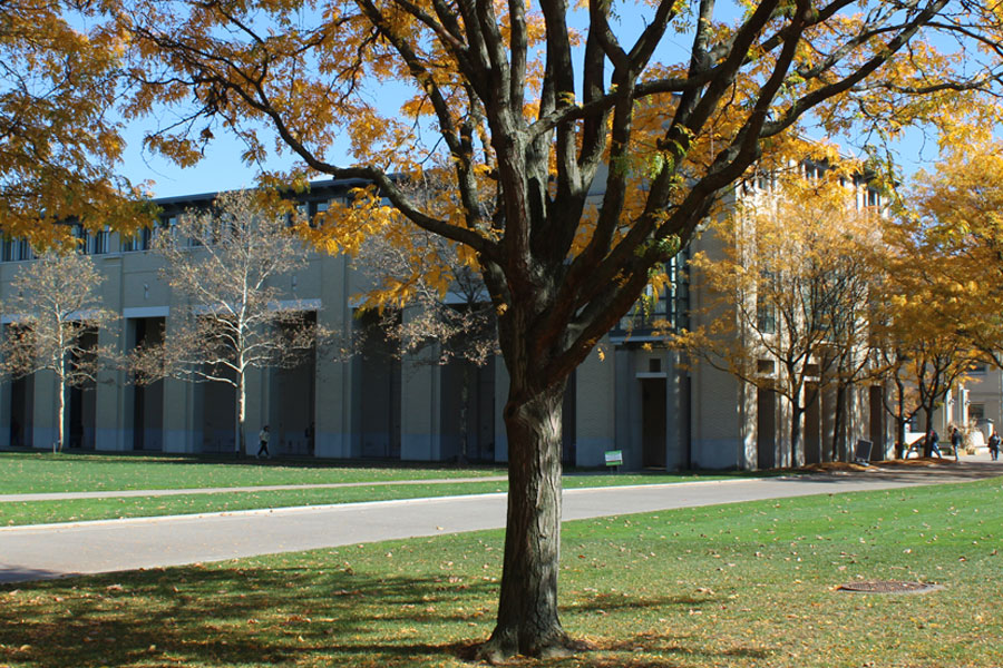 Photo of a fall scene. 