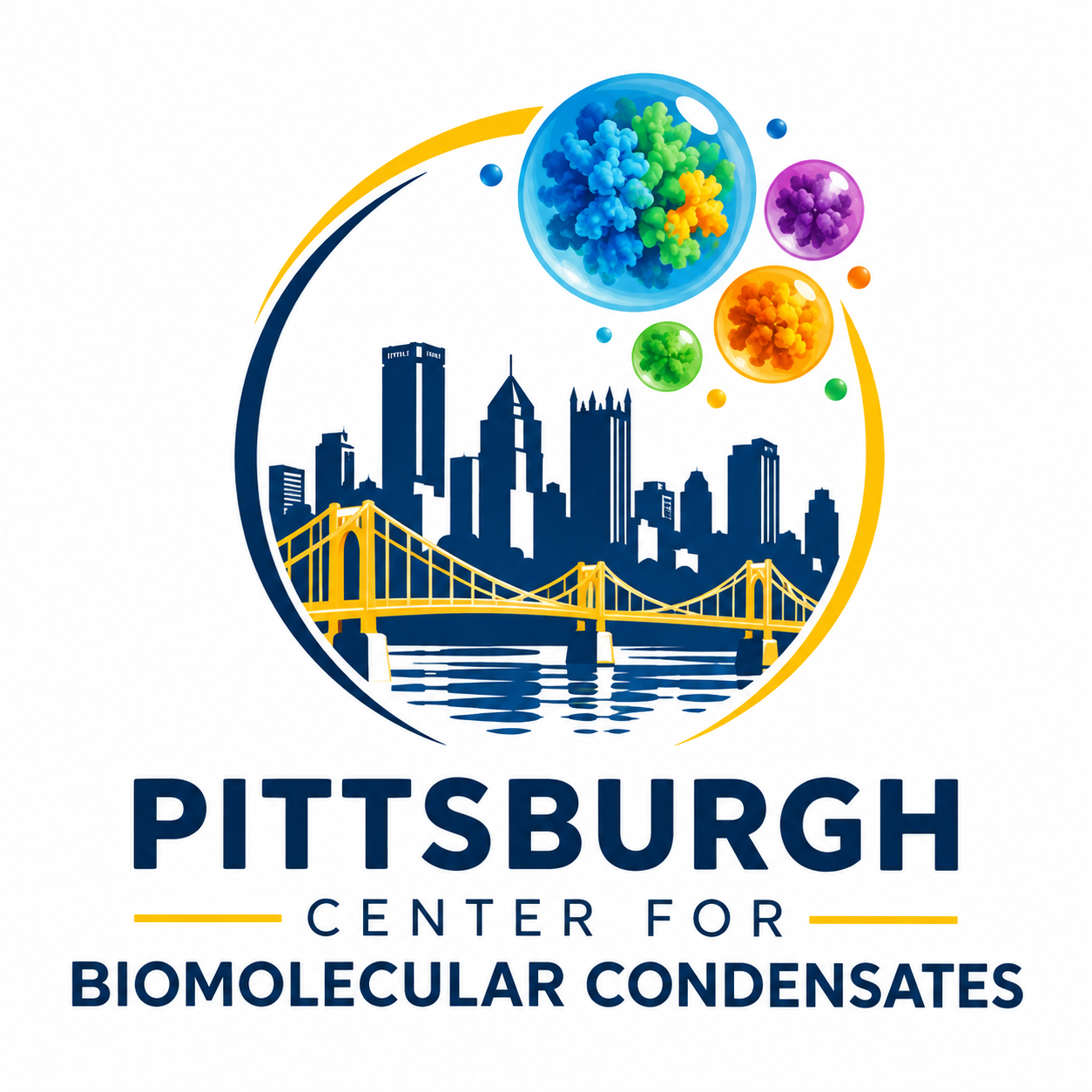 The Pittsburgh Center for Biomolecular Condensates Logo