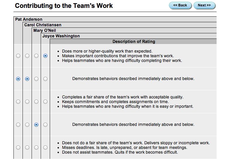 screenshot image of catme peer survey