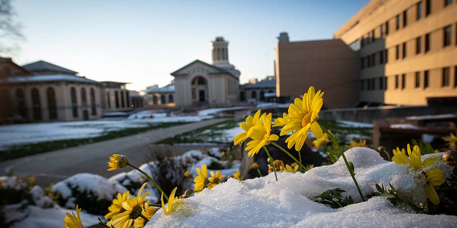CMU campus photo with snow and flowers