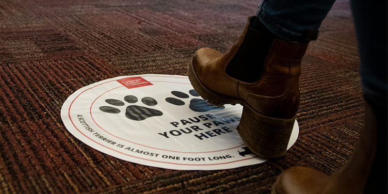Photo of a person walking toward a floor sign.