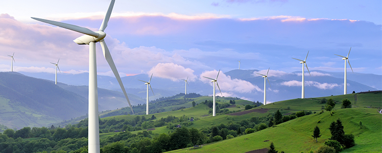 An image of wind turbines, used as a renewable resource.