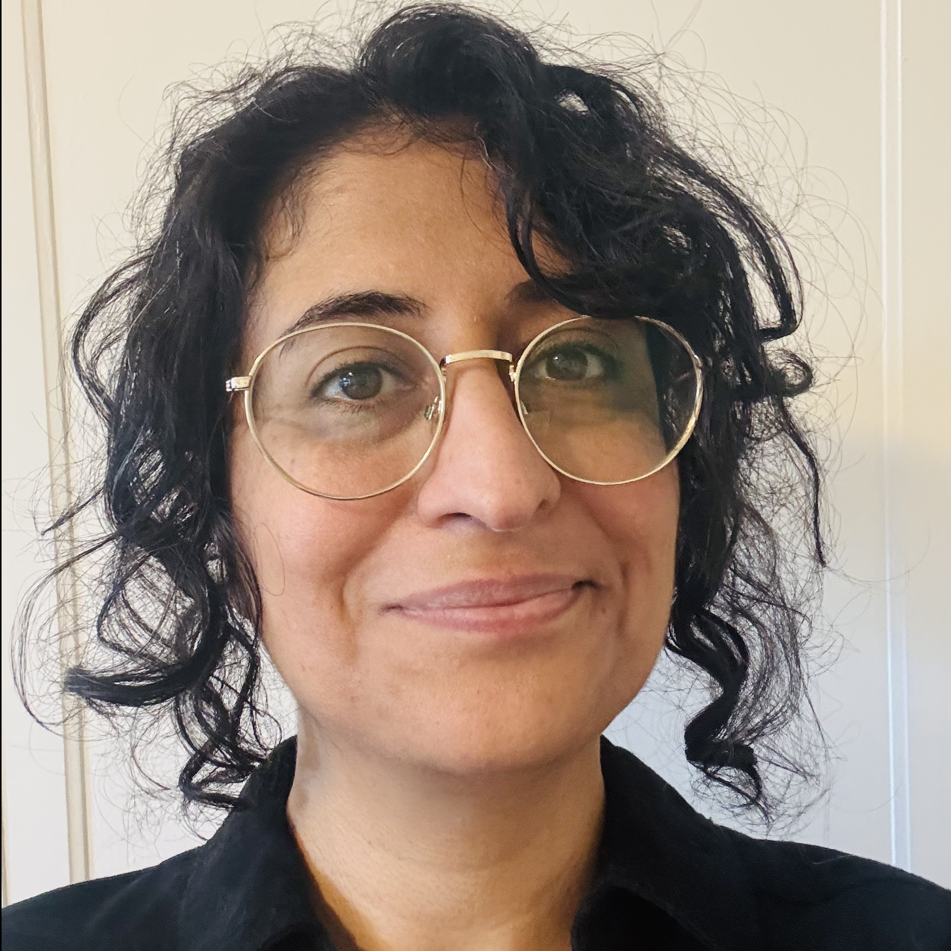 Sarvnaz  Lotfi