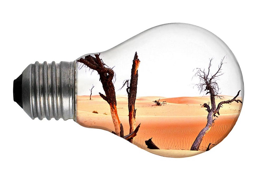 Lightbulb with desert