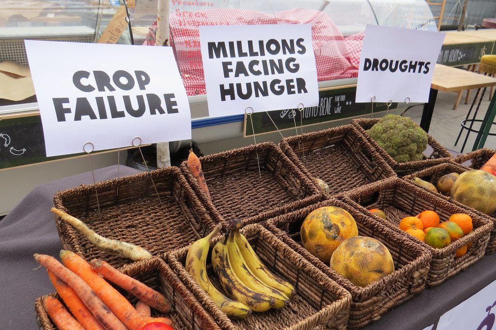 Food at a supermarket with signs about climate