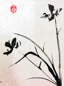 orchids
