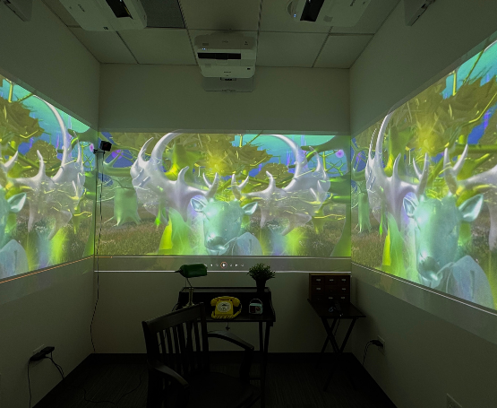 Interactive immersive film installation