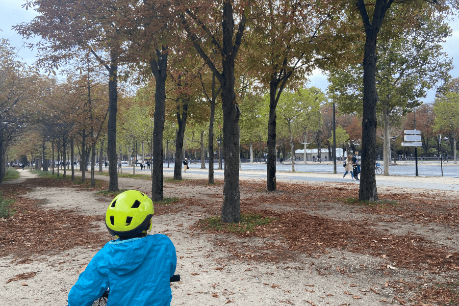 View of trees and young cyclist on an outdoor path.