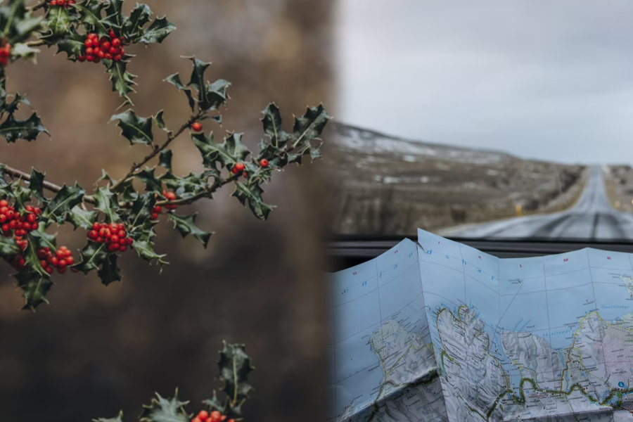 A picture of holly on the left and a map on the right