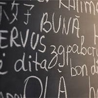 Innovating Foreign Language Education