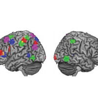 How the Brain Repurposes Itself To Learn Science