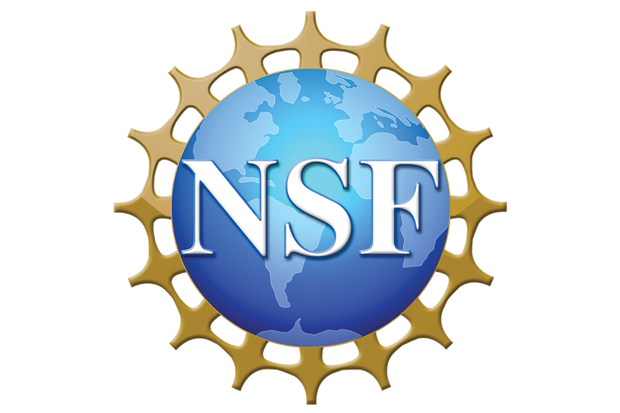 Anna Fisher Receives NSF Science of Learning Grant