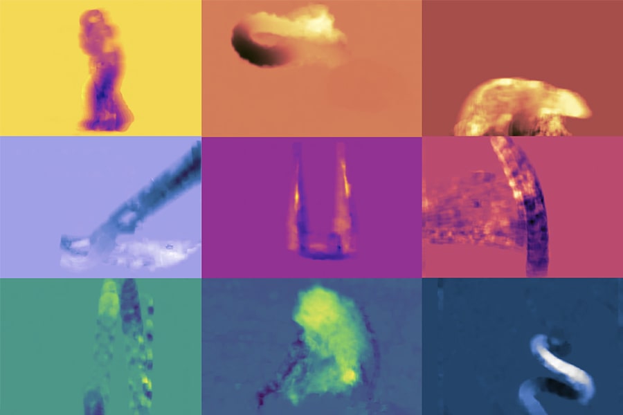 Heat maps of some of the object kinematograms used in the study.