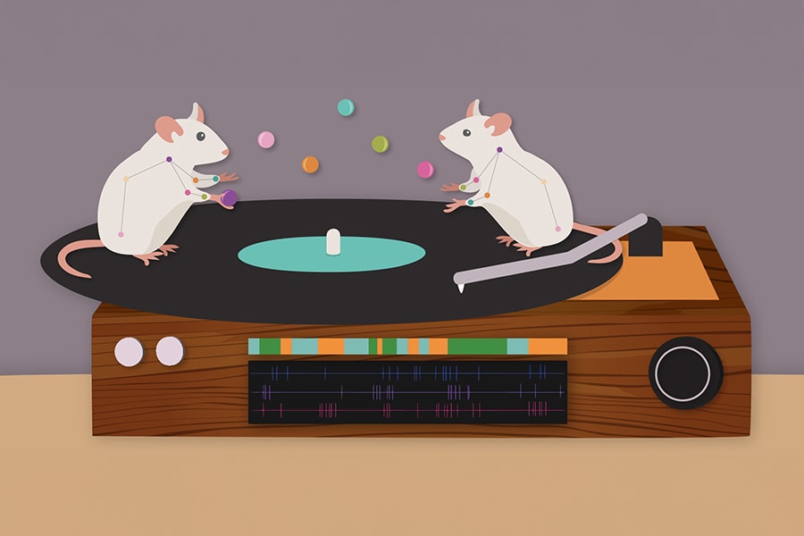 an illustration of two white mice juggling colorful balls while standing on a record on a turntable