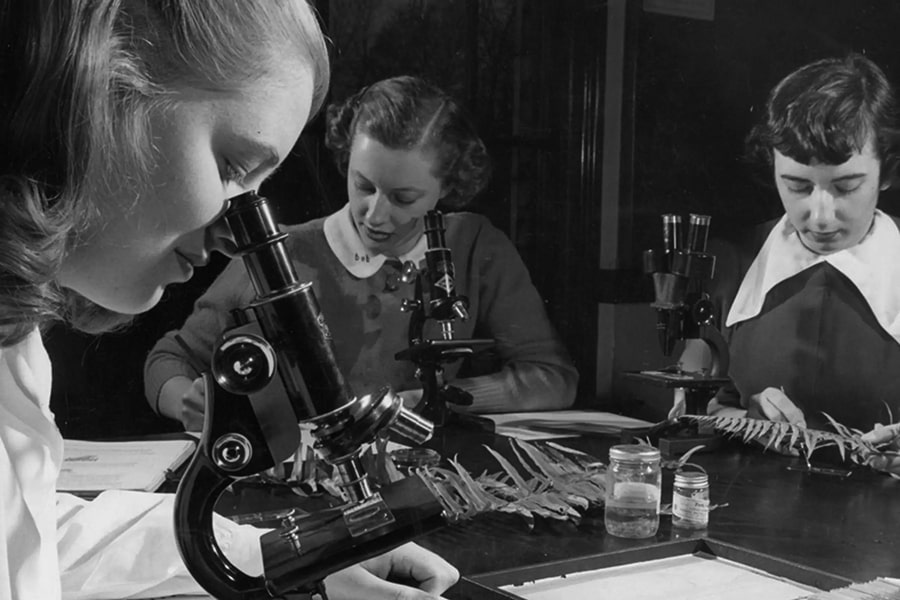 A black and white historic photo of women using a microscope. 
