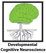 Developmental Cognitive Neuroscience