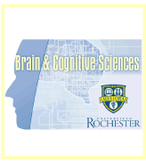 Brain & Cognitive Sciences