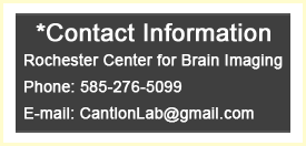 Contact CAOs Lab