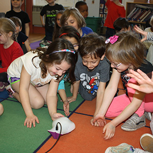 Children exploring robotics