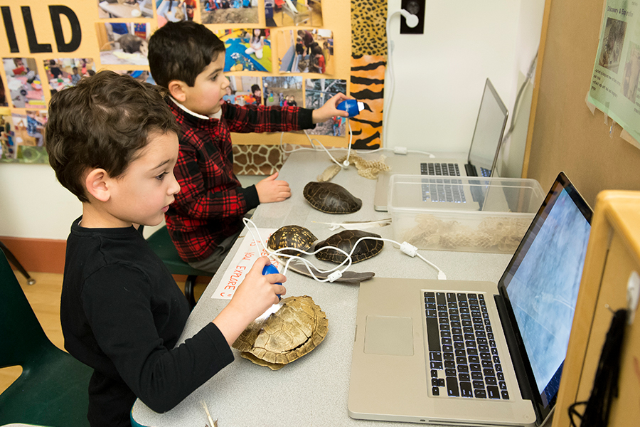 Children working at computers with turtles