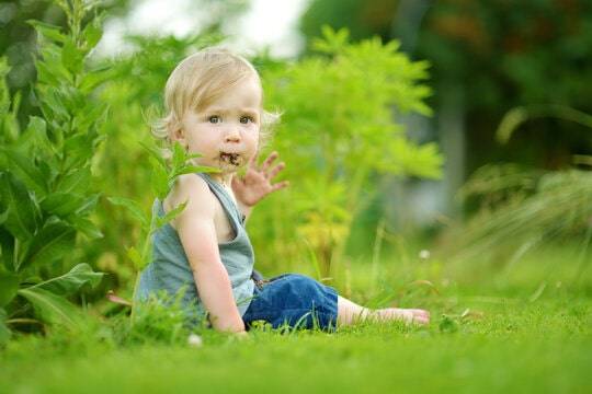 baby putting leaves in its mouth