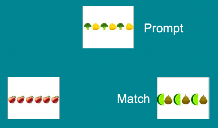 prompt-match-min.png
