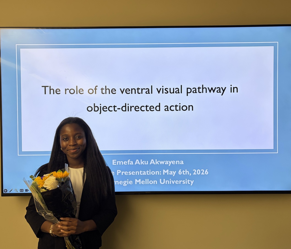Dr. Emefa Akwayena