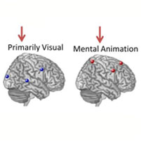 Teaching Science to the Brain