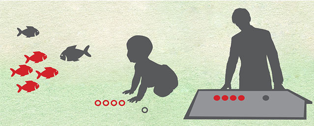 Adult Subcortex Processes Numbers With Same Skill as Infants