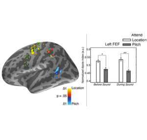 An image map produced by one of our collaborators.