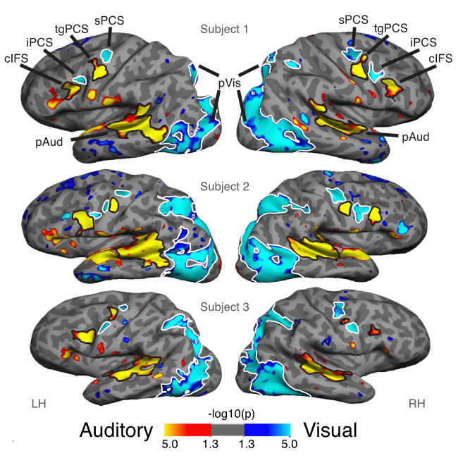 Multi-sensory Integration