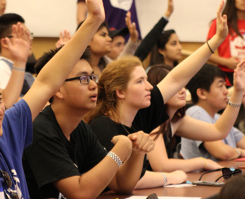 attentive students raising their hands in class