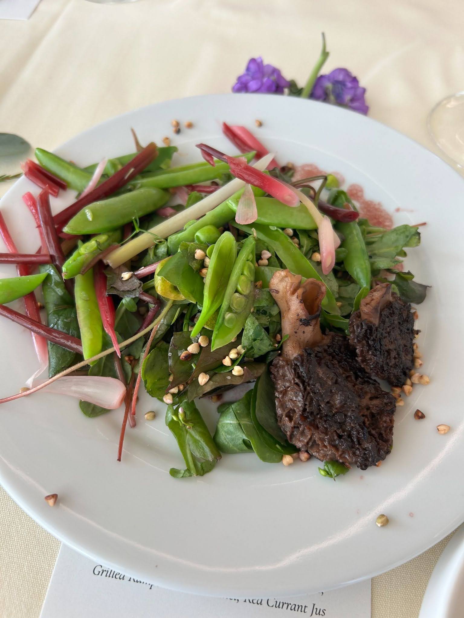 leafy green salad on a plate