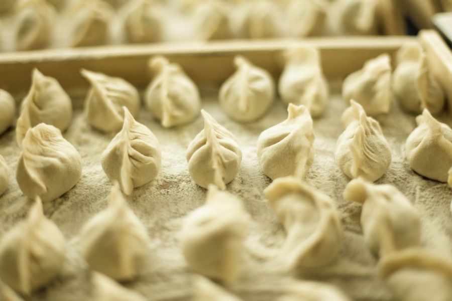 handmade dumplings, uncooked