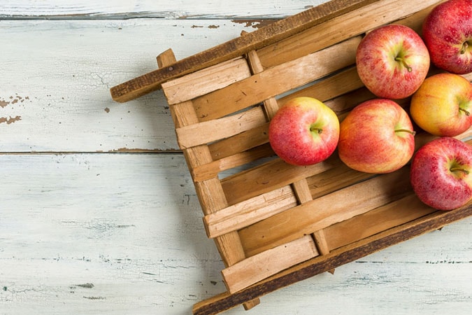 Applefest and Pop-up Cafe at Scotty Saturday
